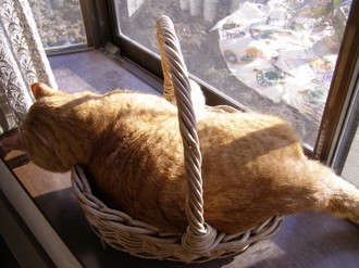c20100709001.jpg